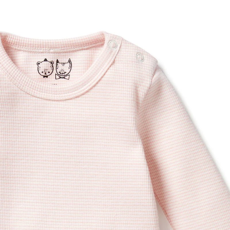 Organic Cantaloupe Long Sleeve Bodysuit - Aster & Ruby