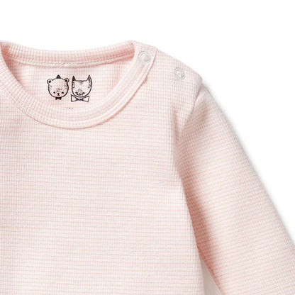 Organic Cantaloupe Long Sleeve Bodysuit - Aster & Ruby